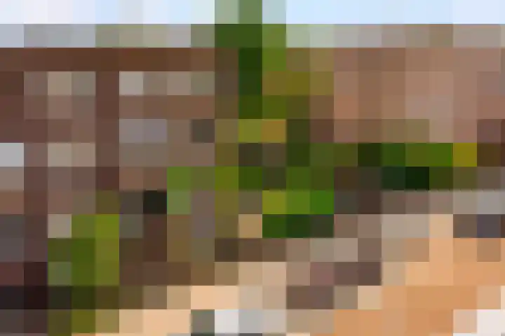 Admiraal van Gentstraat 18 Utrecht thumbnail 32