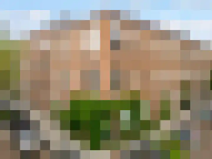 Admiraal van Gentstraat 18 Utrecht thumbnail 38