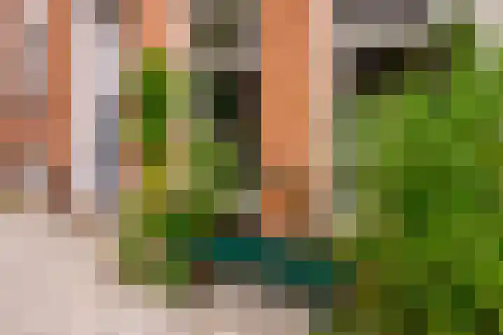 Admiraal van Gentstraat 18 Utrecht thumbnail 4