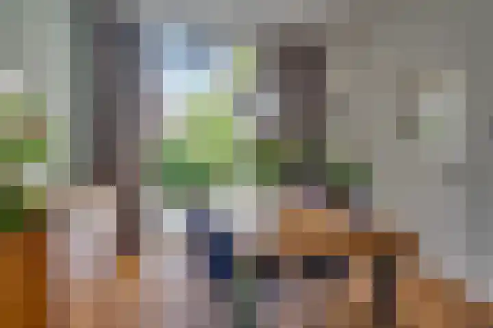 Admiraal van Gentstraat 20 Utrecht thumbnail 12