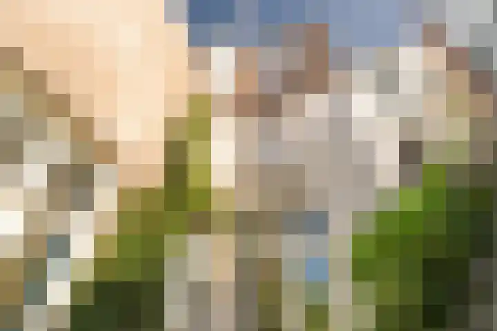 Admiraal van Gentstraat 20 Utrecht thumbnail 17