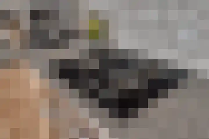 Admiraal van Gentstraat 20 Utrecht thumbnail 21