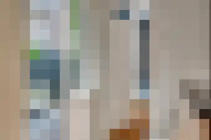 Admiraal van Gentstraat 20 Utrecht thumbnail 22