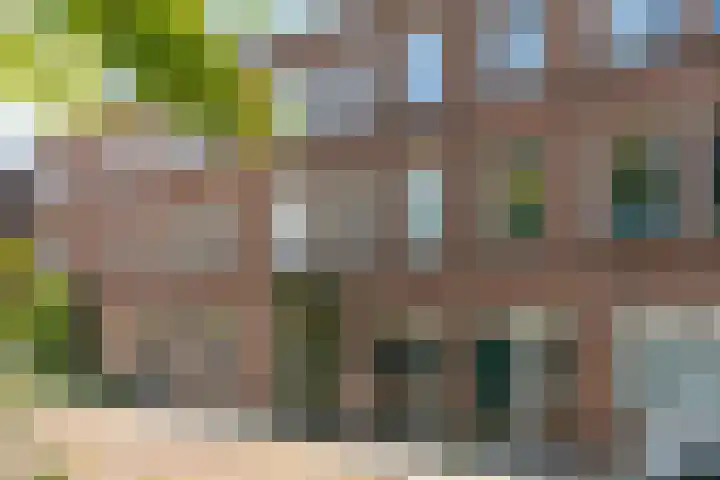 Admiraal van Gentstraat 20 Utrecht thumbnail 5