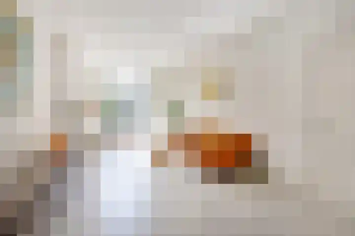 Admiraal van Gentstraat 24 Utrecht thumbnail 16