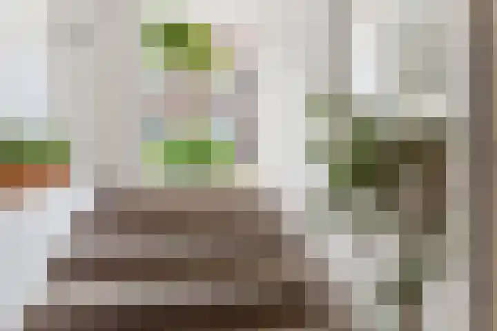 Admiraal van Gentstraat 67 Utrecht thumbnail 11