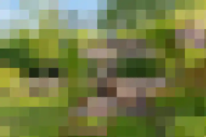 Admiraal van Gentstraat 67 Utrecht thumbnail 4