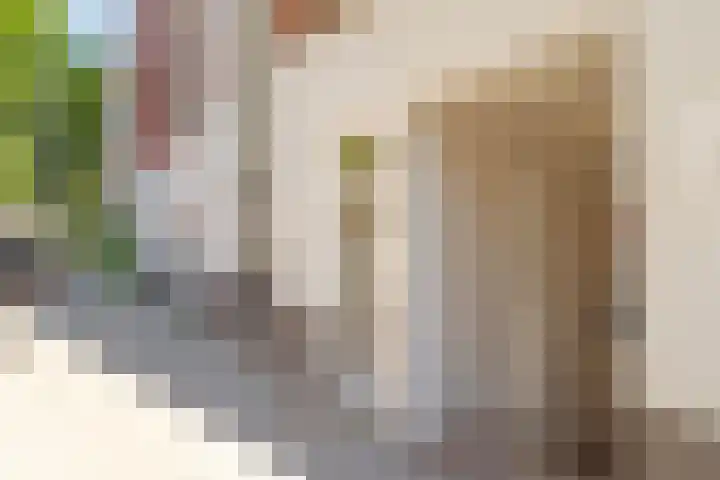 Admiraal van Gentstraat 67 Utrecht thumbnail 7