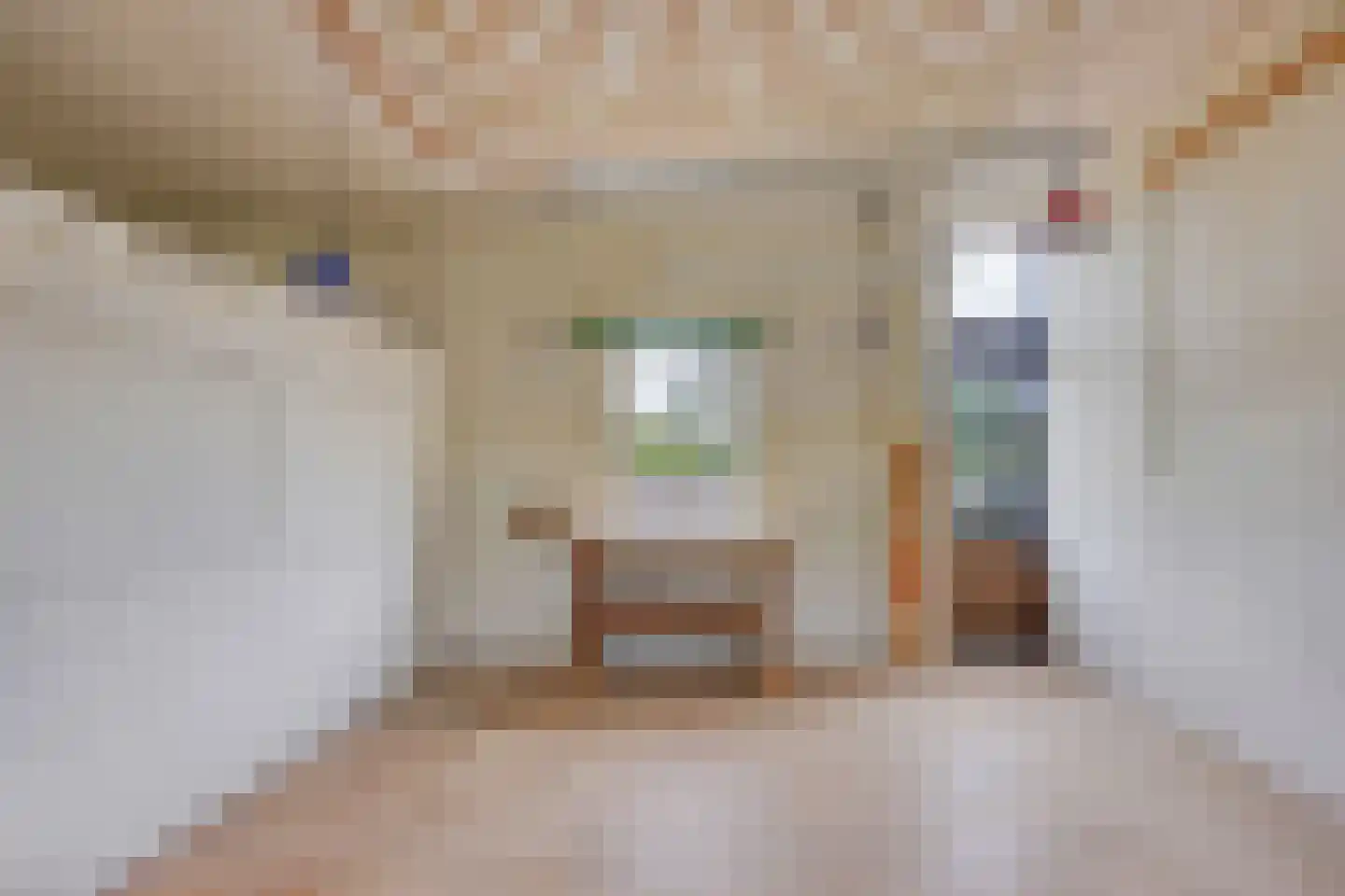 Admiraal van Kinsbergenweg 4 a Velp thumbnail 11