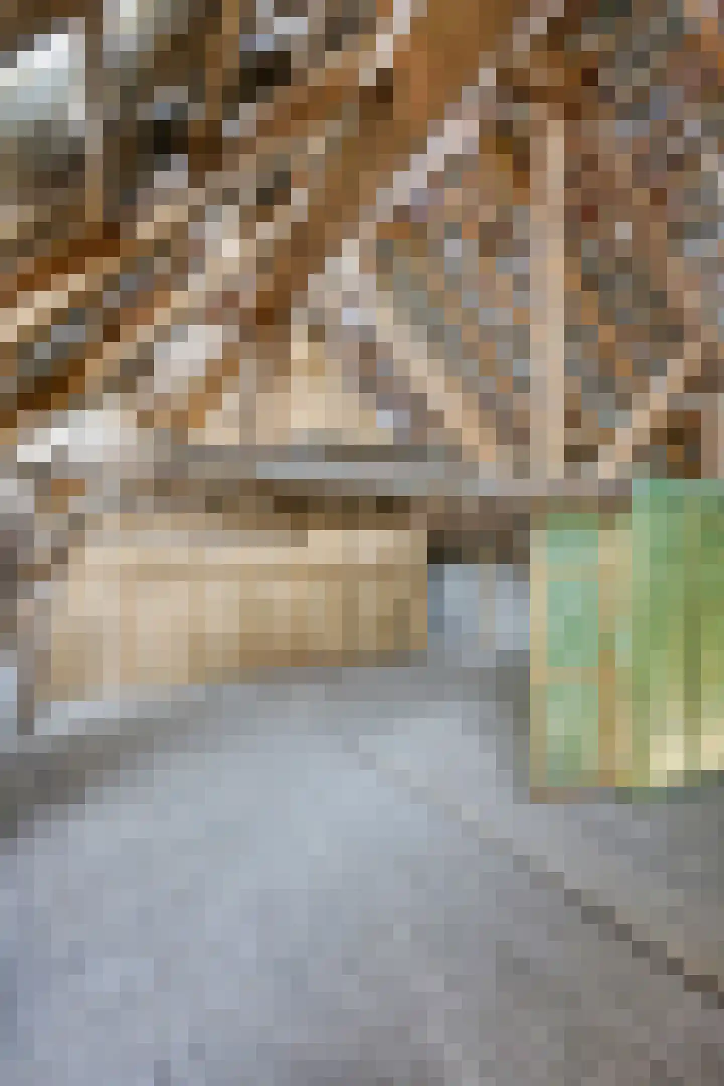 Admiraal van Kinsbergenweg 4 a Velp thumbnail 20