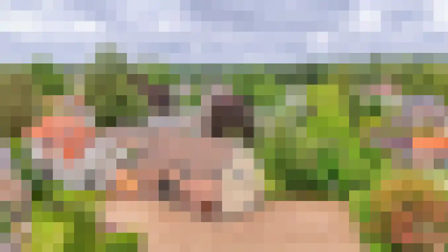Admiraal van Kinsbergenweg 4 a Velp thumbnail 30