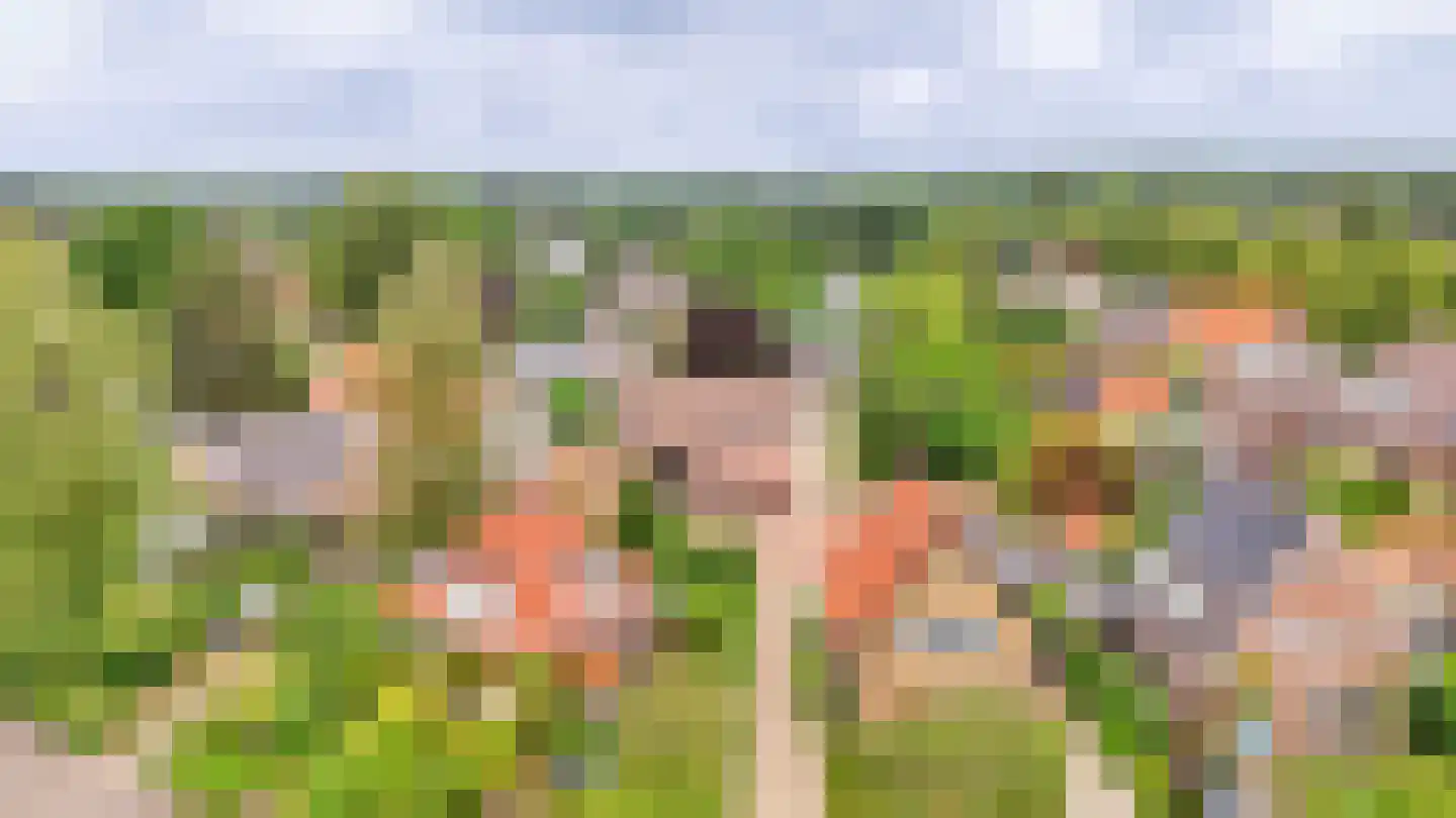 Admiraal van Kinsbergenweg 4 a Velp thumbnail 32