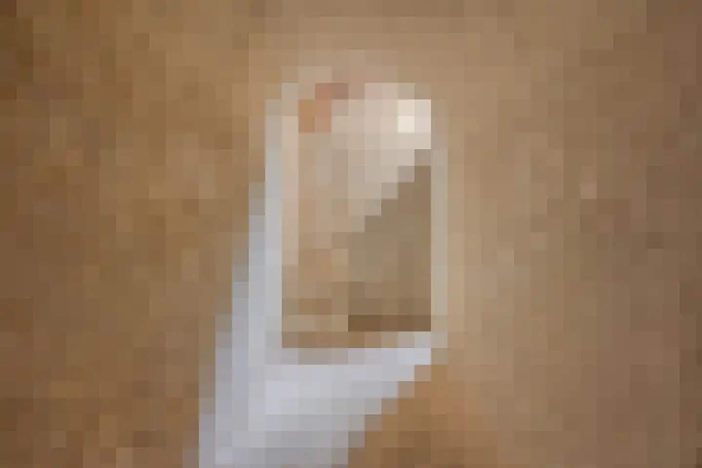 Admiraal van Kinsbergenweg 4 a Velp thumbnail 4