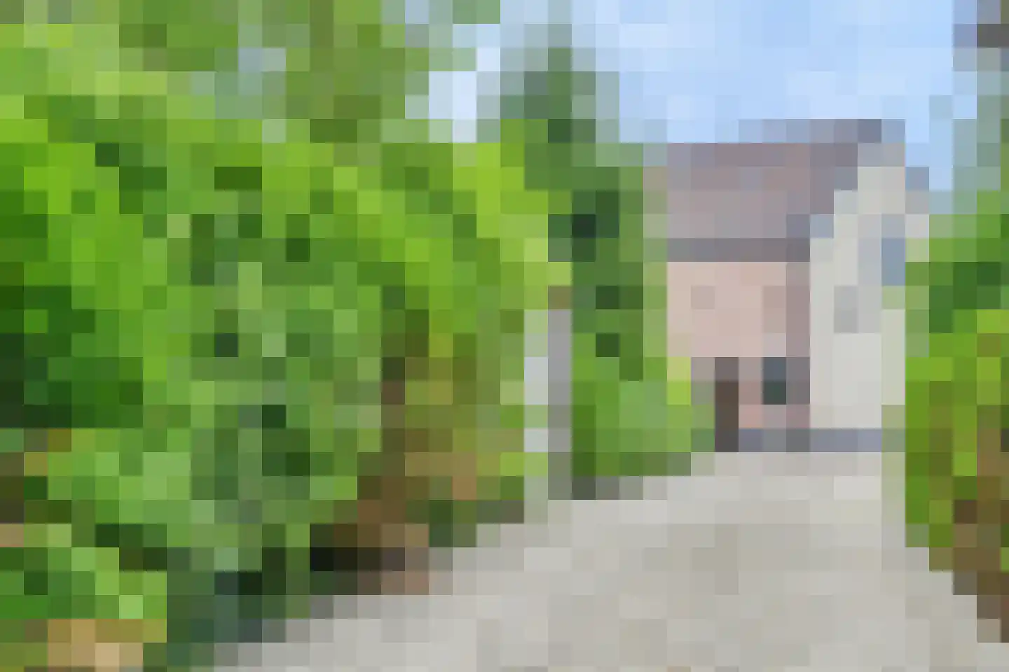 Admiraal van Kinsbergenweg 4 a Velp thumbnail 5