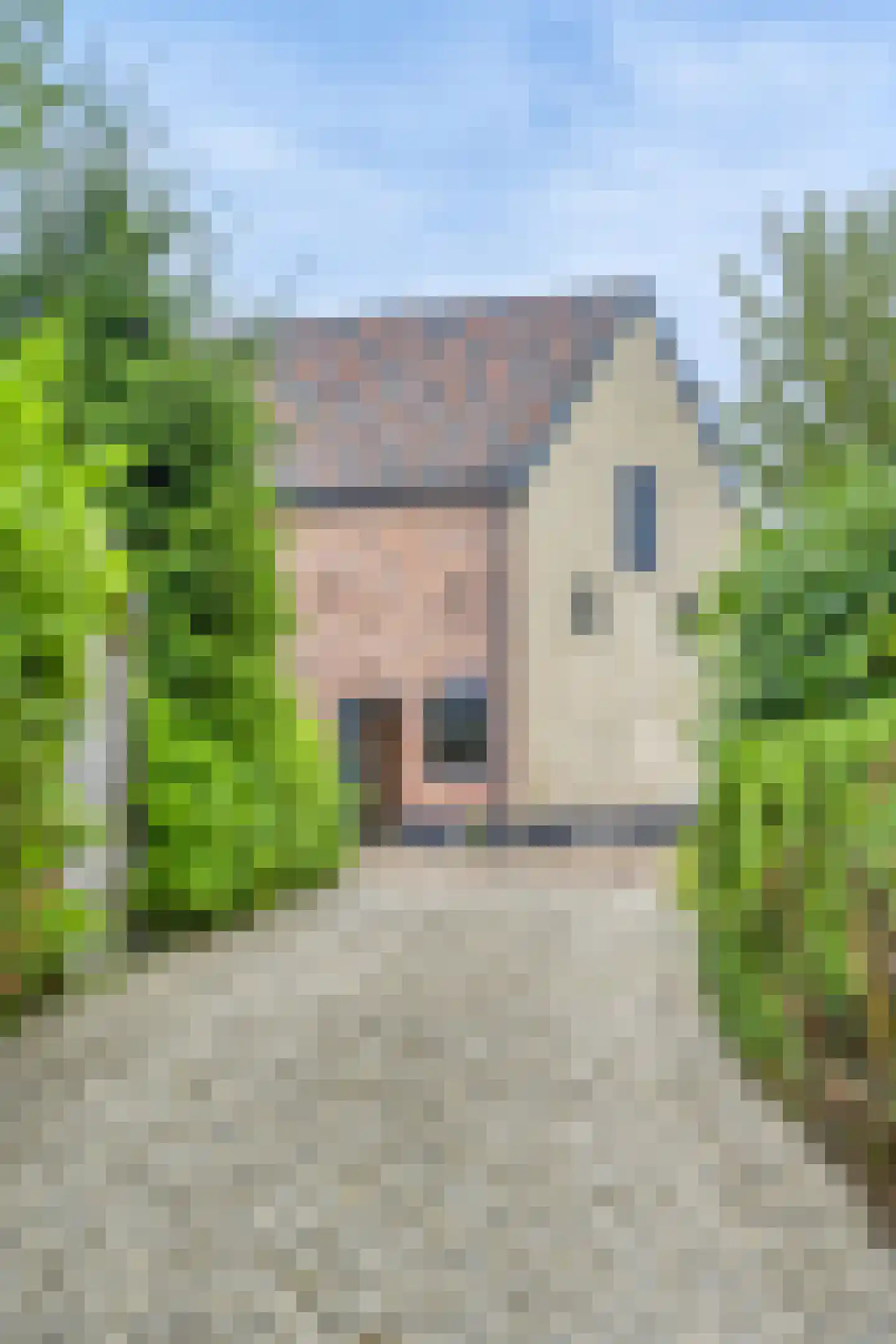 Admiraal van Kinsbergenweg 4 a Velp thumbnail 6