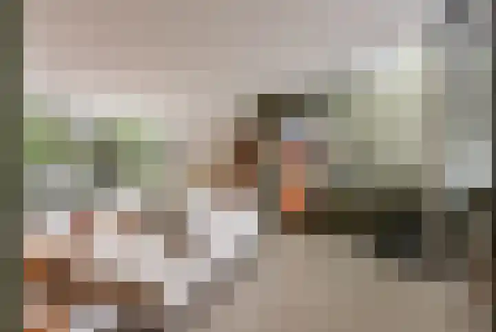 Admiraalsborch 10 Houten thumbnail 10