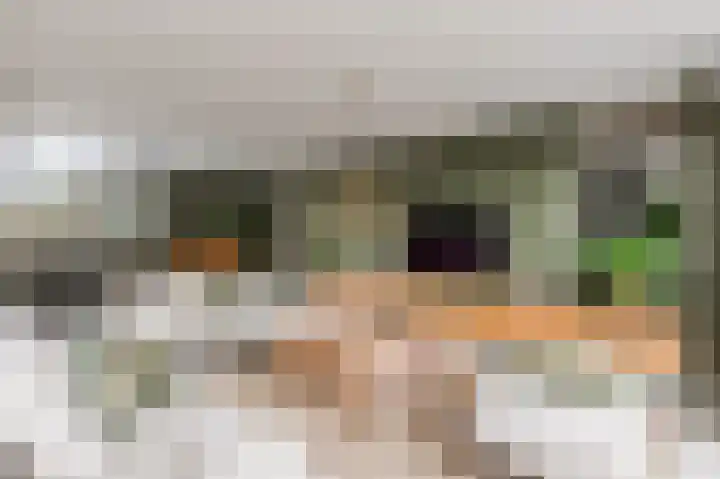 Admiraalsborch 10 Houten thumbnail 13