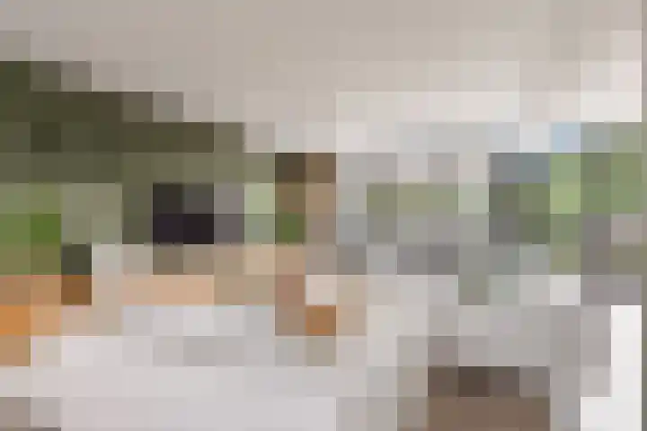 Admiraalsborch 10 Houten thumbnail 14