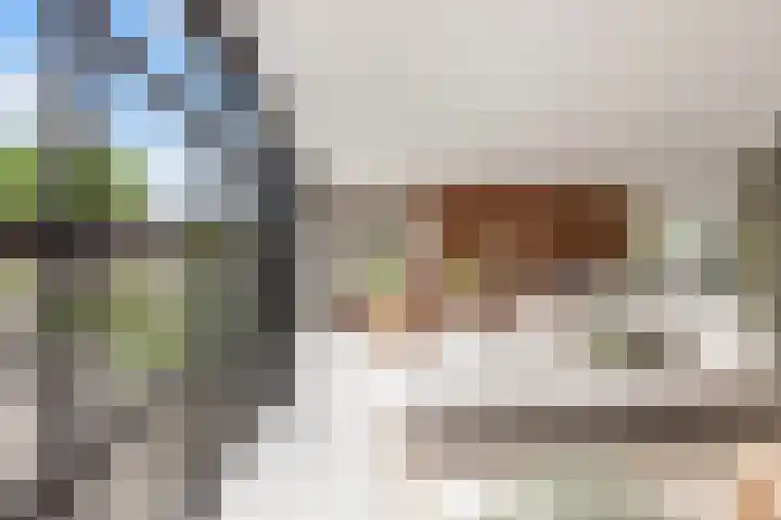 Admiraalsborch 10 Houten thumbnail 15