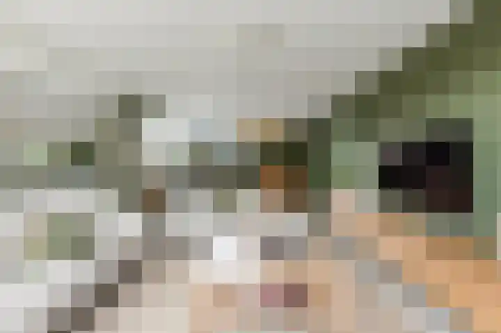 Admiraalsborch 10 Houten thumbnail 16