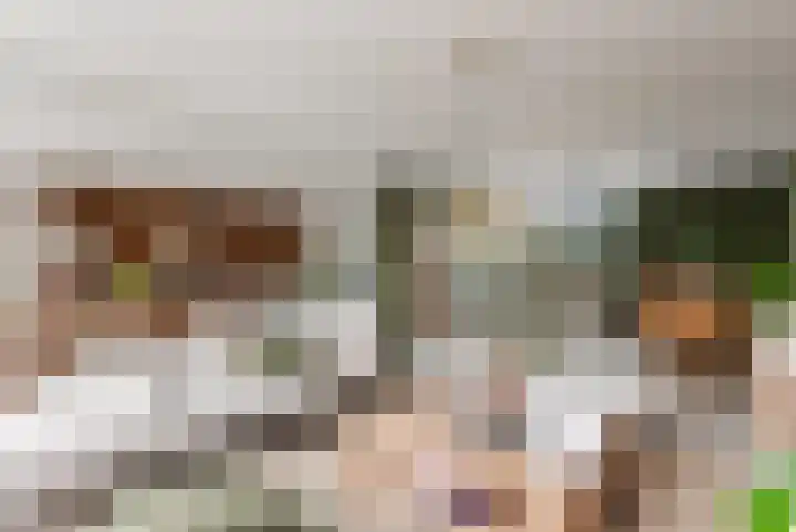 Admiraalsborch 10 Houten thumbnail 20