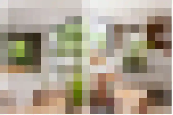 Admiraalsborch 10 Houten thumbnail 21