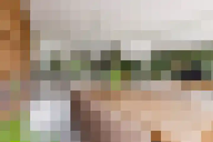 Admiraalsborch 10 Houten thumbnail 22