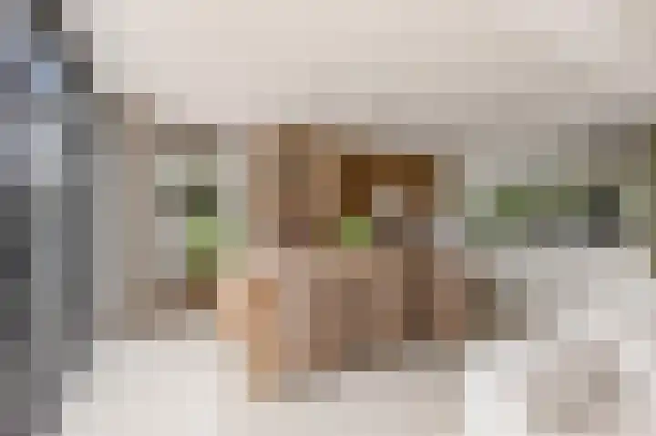 Admiraalsborch 10 Houten thumbnail 23
