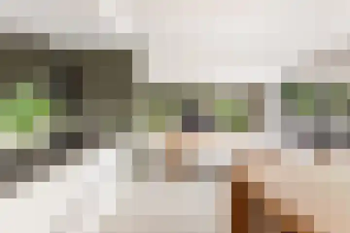 Admiraalsborch 10 Houten thumbnail 24