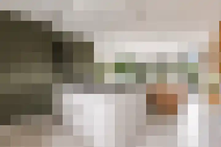 Admiraalsborch 10 Houten thumbnail 25