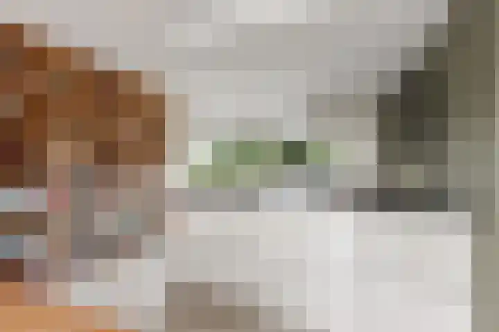 Admiraalsborch 10 Houten thumbnail 27