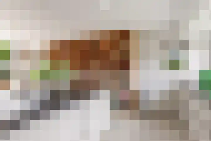 Admiraalsborch 10 Houten thumbnail 28