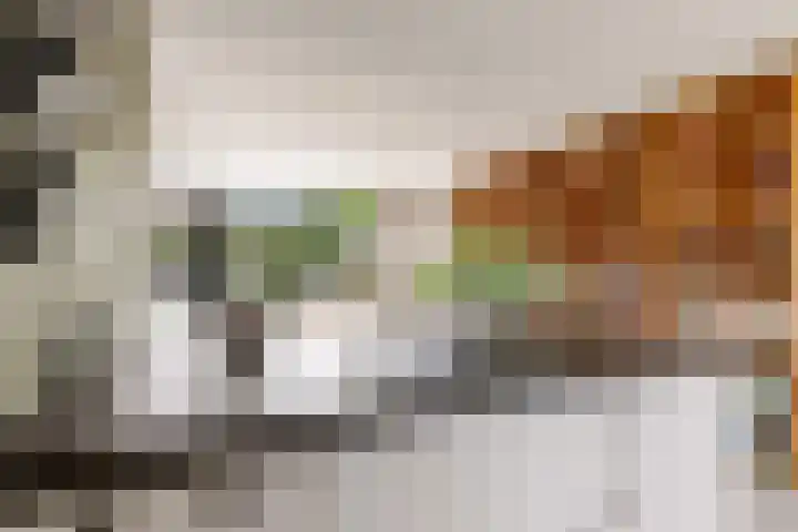 Admiraalsborch 10 Houten thumbnail 29
