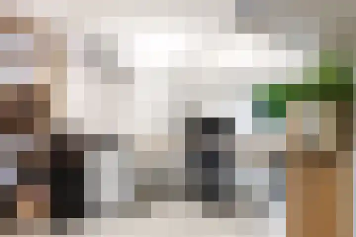Admiraalsborch 10 Houten thumbnail 31