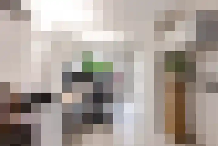 Admiraalsborch 10 Houten thumbnail 32