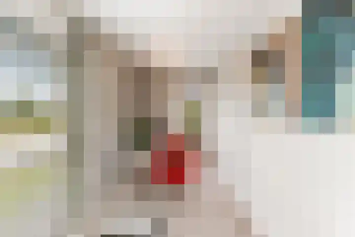Admiraalsborch 10 Houten thumbnail 37