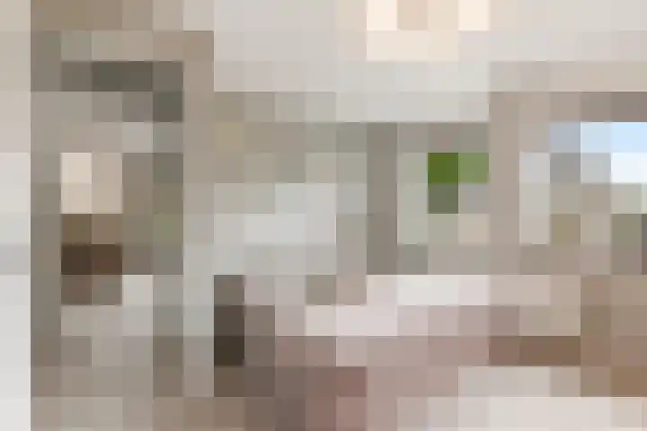 Admiraalsborch 10 Houten thumbnail 44