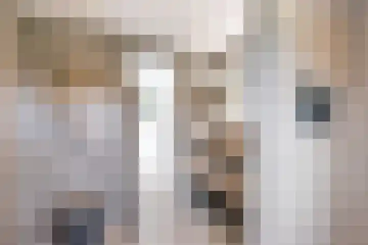 Admiraalsborch 10 Houten thumbnail 48