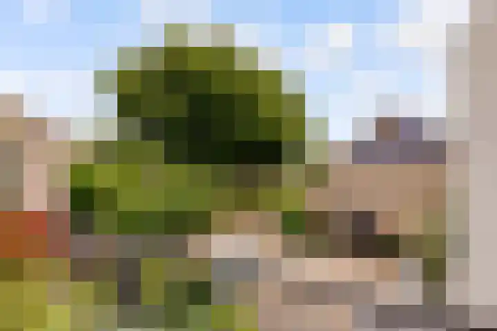 Admiraalsborch 10 Houten thumbnail 55