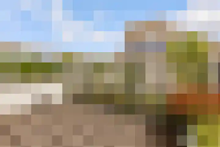 Admiraalsborch 10 Houten thumbnail 56