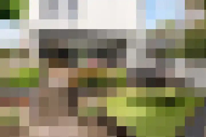 Admiraalsborch 10 Houten thumbnail 57