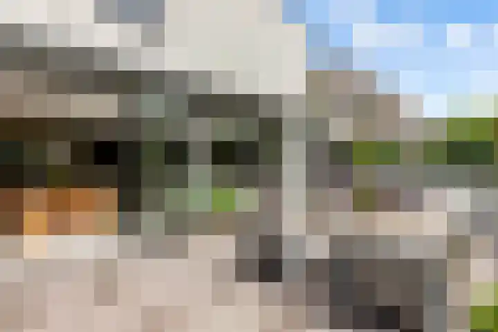 Admiraalsborch 10 Houten thumbnail 58