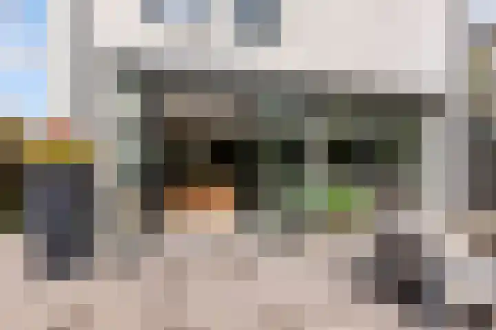 Admiraalsborch 10 Houten thumbnail 59