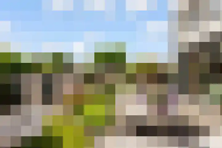 Admiraalsborch 10 Houten thumbnail 60