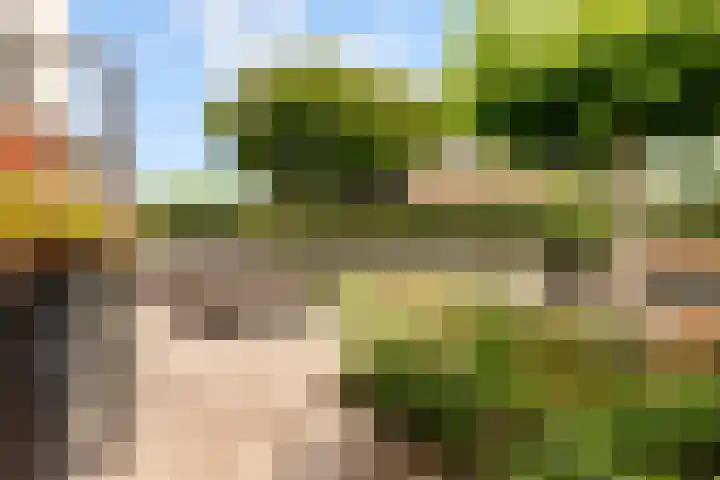 Admiraalsborch 10 Houten thumbnail 61