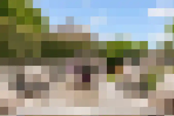 Admiraalsborch 10 Houten thumbnail 62