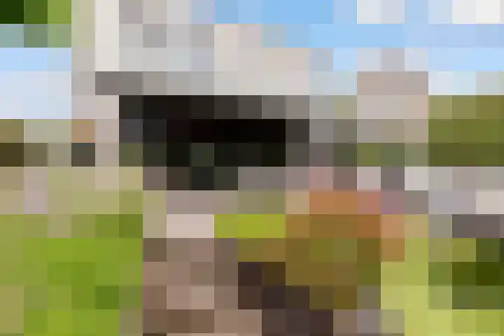Admiraalsborch 10 Houten thumbnail 65