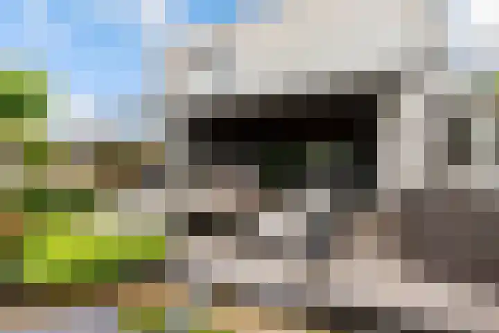 Admiraalsborch 10 Houten thumbnail 67