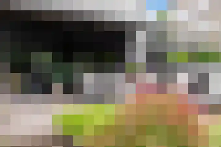 Admiraalsborch 10 Houten thumbnail 68