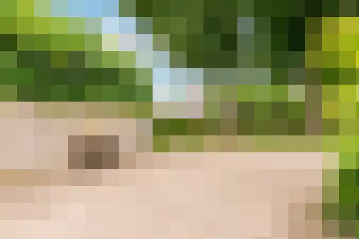 Admiraalsborch 10 Houten thumbnail 70
